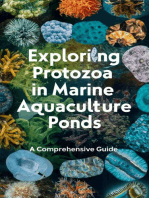 Exploring Protozoa in Marine Aquaculture Ponds : A Comprehensive Guide