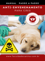 Treinamento Anti-envenenamento Para Cães