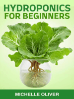 Hydroponics for Beginners