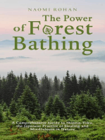 The Power of Forest Bathing