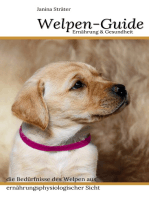 Welpen-Guide: Ernährung & Gesundheit