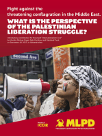 What is the perspective of the palestinian liberation struggle?