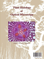 Plant Histology at Optical Microscope: The cells and tissues of plants and other vegetables with all their beauty and color