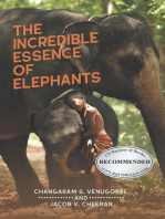 Elephants Digestive System | PDF | Gastrointestinal Tract | Digestion