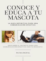 Conoce y Educa a Tu Mascota: La Guía Definitiva para una Comunicación Efectiva