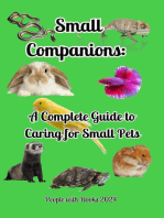 Small Companions