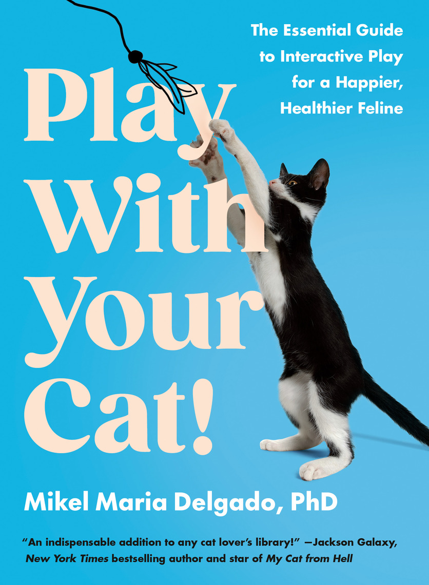 Play With Your Cat! by Mikel Maria PhD (Ebook) Read - Main Image