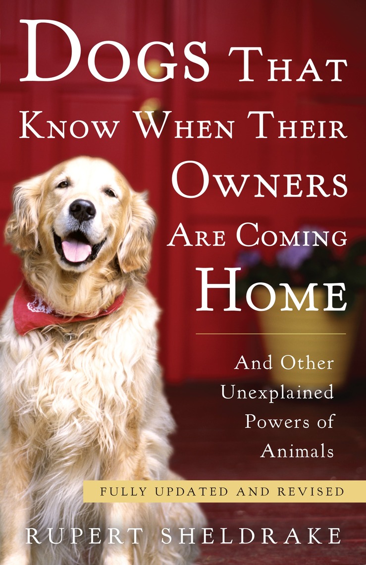 Dogs That Know When Their Owners Are Coming Home by Rupert Sheldrake ...