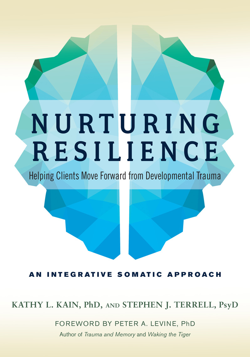 Nurturing Resilience By Kathy L Kain Stephen J Terrell Peter A