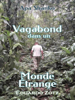 Vagabond dans un Monde Étrange: ApaShanko, #2