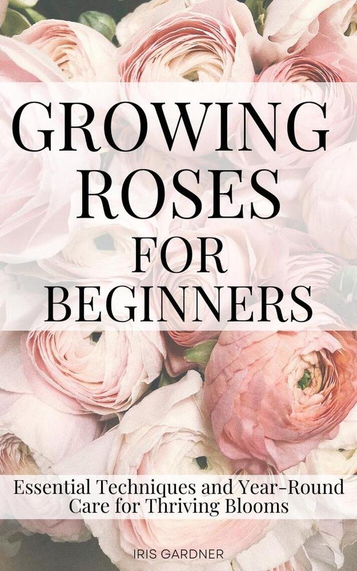 Growing Roses For Beginners: Essential Techniques and Year-Round Care ...