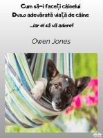 Cum Să-I Faceți CâineluiDvs.o Adevărată Viață De Câine: Și El Te Va Adora