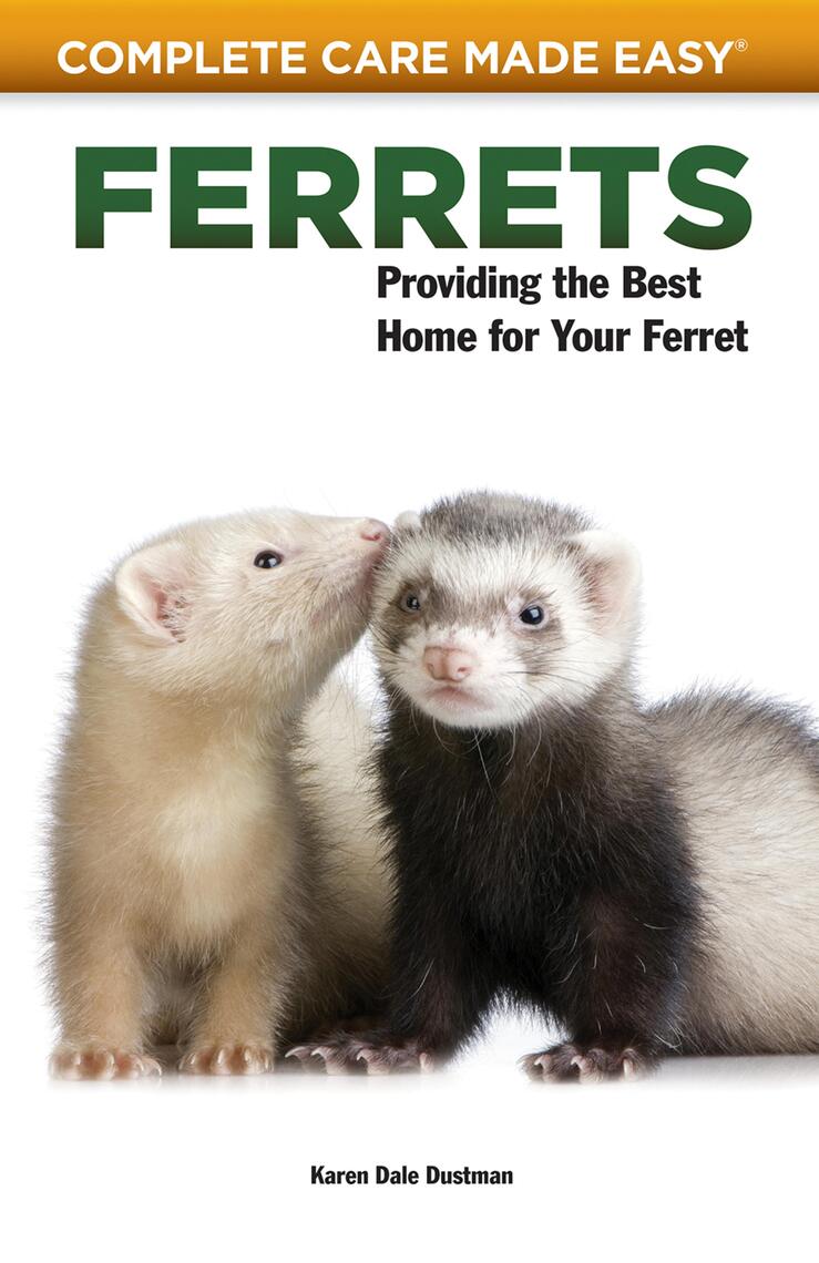 Ferrets by Karen Dale Dustman, Renee Stockdale (Ebook) Read free