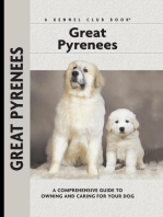 Great Pyrenees