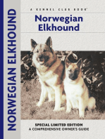 Norwegian Elkhound