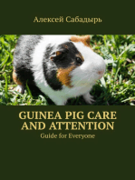 Guinea pig care and attention