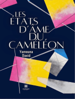 Les états d’âme du caméléon