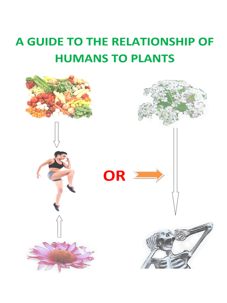 A Guide to the Relationship of Humans to Plants by Roy Snelling (Ebook ...