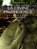 La divine providence tome 2: Les silences du ciel