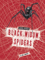 Black Widow Spiders