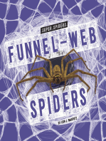 Funnel-Web Spiders