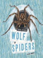 Wolf Spiders