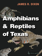 Amphibians and Reptiles of Texas: With Keys, Taxonomic Synopses, Bibliography, and Distribution Maps