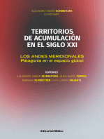 Territorios de acumulación en el siglo XXI: Los andes meridionales. Patagonia en el espacio global