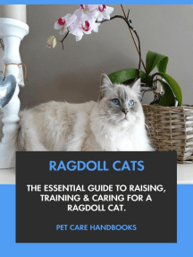 Ragdoll Cats: The Essential Guide to Raising, Training & Caring for A ...