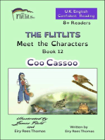THE FLITLITS, Meet the Characters, Book 12, Coo Cassoo, 8+ Readers, U.K. English, Confident Reading