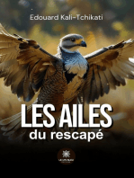 Les ailes du rescapé