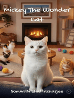 Mickey The Wonder Cat