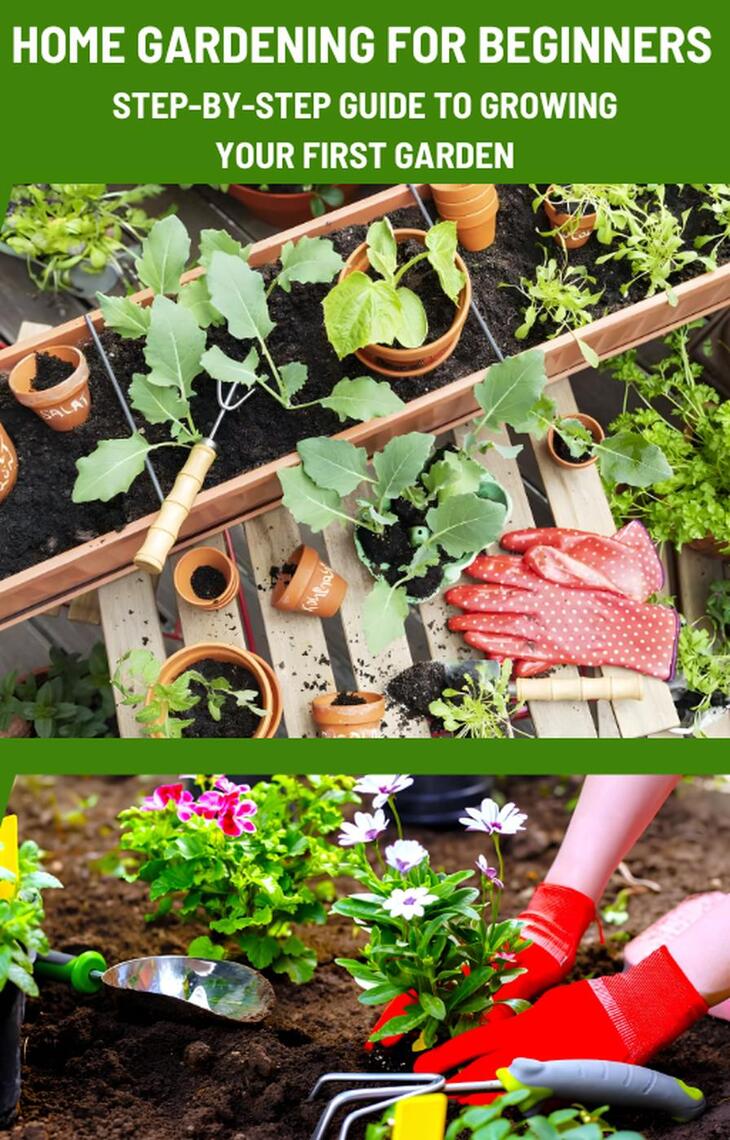 Home Gardening for Beginners: Step-by-Step Guide to Growing Your First ...
