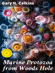 Marine Protozoa from Woods Hole by Gary N. Calkins (Ebook) - Read free ...
