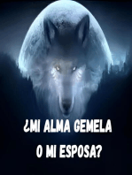 ¿Mi alma gemela o mi esposa?