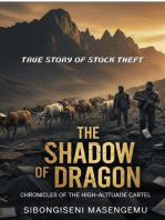 The Shadow Of Dragon