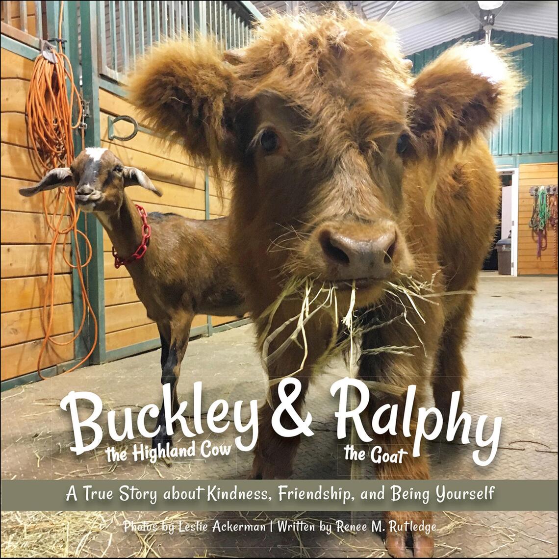 Buckley the Highland Cow and Ralphy the Goat by Renee Rutledge (Ebook ...