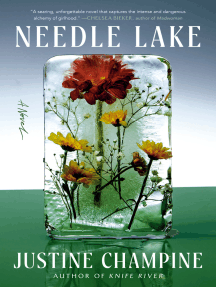 Needle Lake: A Novel