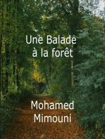 Une Balade à la forêt